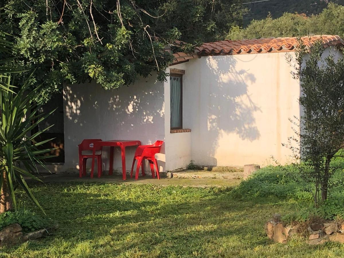 Apartament Sarrala Tertenìa Zewnętrze zdjęcie